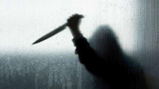 القبض على مواطنة أقدمت على قتل شقيقها بلبنان