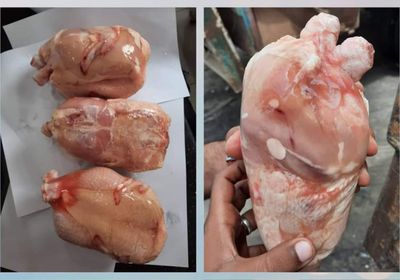 ضبط حاوية دجاج مستورد فاسد قبل دخولها عدن