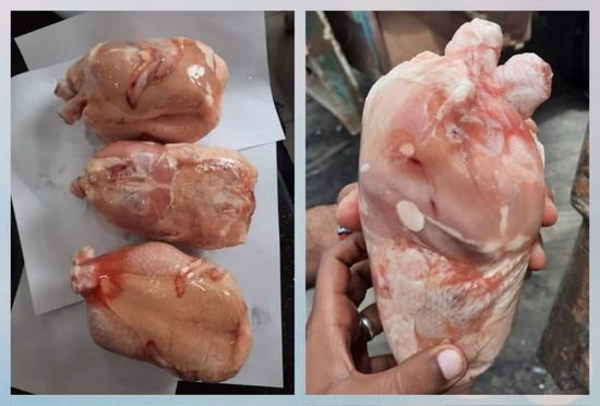 ضبط حاوية دجاج مستورد فاسد قبل دخولها عدن