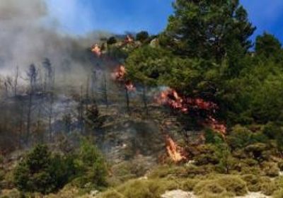 حريق هائل في غابة جنوب غرب تركيا