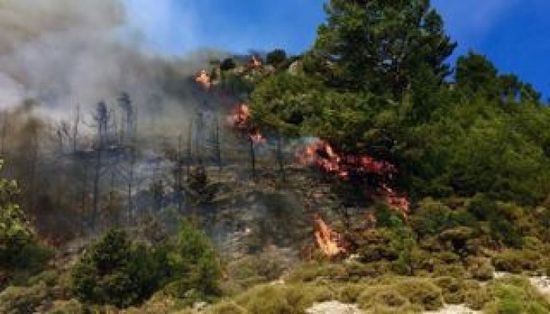 حريق هائل في غابة جنوب غرب تركيا