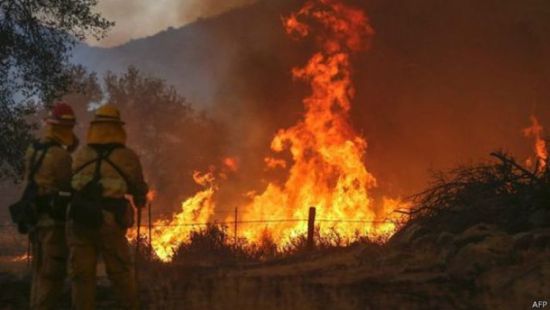 الحرائق تدمر غابات كاليفورنيا