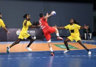 المغرب يفوز على غينيا ويتأهل لنصف نهائي أمم أفريقيا لليد