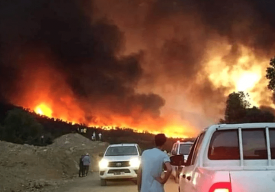 المغرب.. فرق مكافحة الحرائق تواصل إخماد النيران بالغابات
