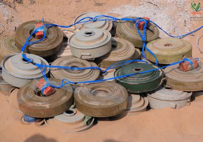 مسام ينزع 700 لغم وذخيرة حية في أسبوع