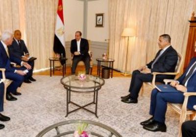مباحثات بين السيسي ورئيس لورسن الألمانية للصناعات البحرية