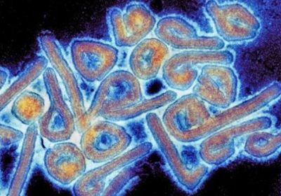 5 معلومات عن فيروس ماربورغ الذي تفشي في غانا