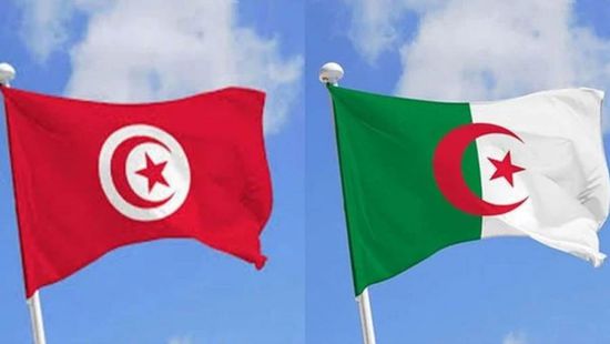 تونس والجزائر تبحثان دعم علاقات التعاون العسكري