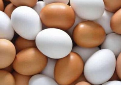 أسباب ارتفاع أسعار البيض في مصر.. الكرتونة بـ80 جنيها