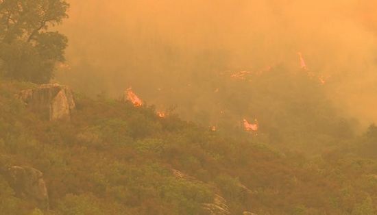 المغرب: إخماد حريق أتى على 7800 هكتار