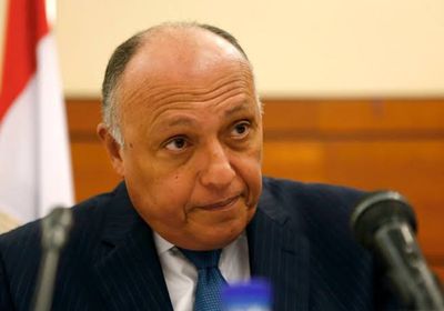 سامح شكري: نؤكد على ضرورة التوصل لتسوية سياسية ودبلوماسية للأزمة الأوكرانية