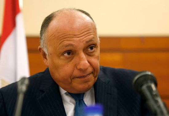 سامح شكري: نؤكد على ضرورة التوصل لتسوية سياسية ودبلوماسية للأزمة الأوكرانية