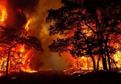 وفاة أحد المتطوعين لإطفاء حريق غابة بالمغرب