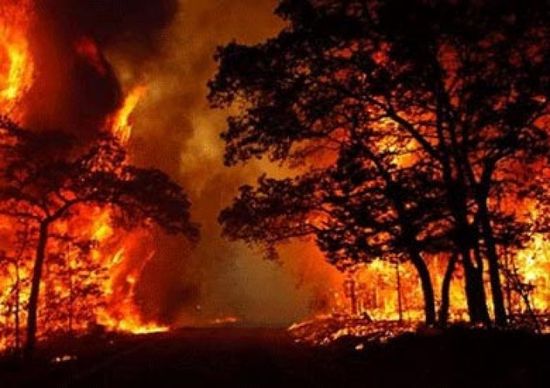 وفاة أحد المتطوعين لإطفاء حريق غابة بالمغرب