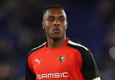 خليفة ليفاندوفسكي في بايرن ميونخ.. ماتيس تيل في نقاط