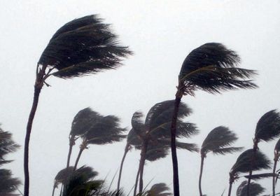 أمطار ورياح وسحب ركامية.. تفاصيل طقس الجنوب غدا