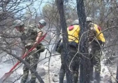 الجيش المغربي يتدخل لإخماد الحرائق في البلاد