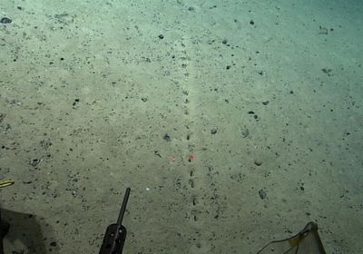 العثور على ثقوب غريبة في قاع المحيط الأطلسي