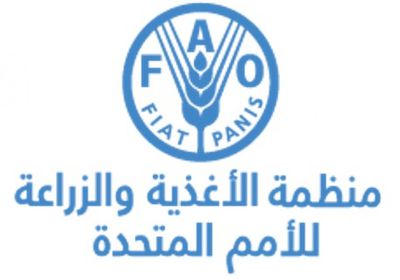 فاو تكشف أهداف مشروع المساعدة الطارئة لسبل العيش