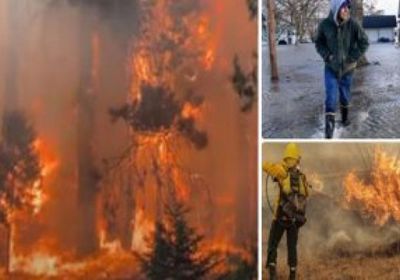 حرائق الغابات تكتسح البرتغال 