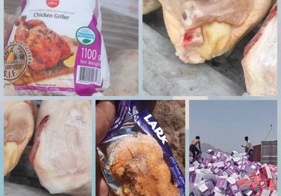 ضبط شحنة دجاج فاسدة بميناء عدن
