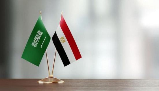 مصر تؤكد تضمانها مع السعودية ضد أي تهديد لأمنها