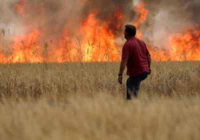 الحرائق تشتعل في 7 ولايات بالجزائر