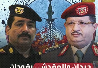 حيدان والمقدشي يقودان مخطط إعادة لعكب إلى شبوة (فيديوجراف)