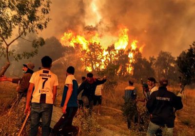 مصر تعزي الجزائر في ضحايا الحرائق