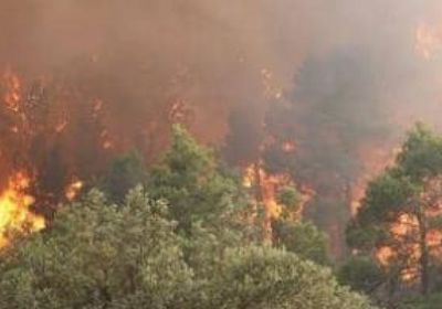 تأجيل كل الفعاليات الفنية في الجزائر بسبب الحرائق