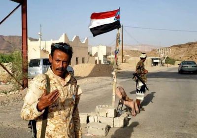 المقاومة الجنوبية تسيطر على مواقع استراتيجية في الروضة