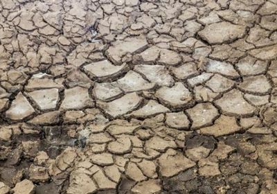 تخصيص 10 ملايين دولار لمجابهة الجفاف في الصومال