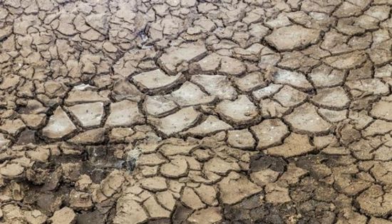 تخصيص 10 ملايين دولار لمجابهة الجفاف في الصومال