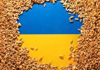 صادرات الحبوب الأوكرانية بصدد العودة لمستوياتها