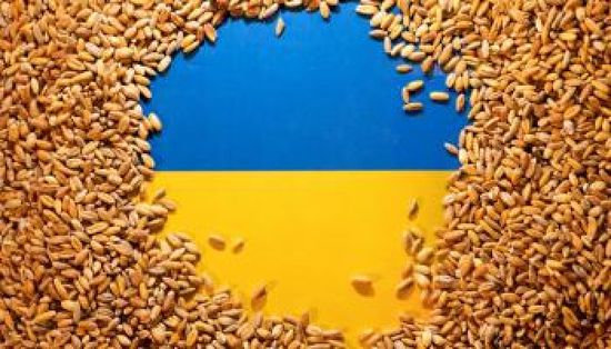 صادرات الحبوب الأوكرانية بصدد العودة لمستوياتها