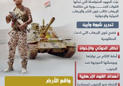 الجنوب يعري تكتلات الإرهاب (إنفوجراف)