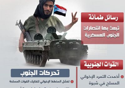 القوات الجنوبية.. انتصارات وتطمينات (إنفوجراف)