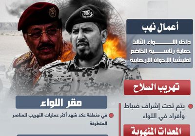 سلاح الألوية الإخوانية.. سلعة لتأجيج الإرهاب (إنفوجراف)