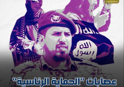 عصابات "الحماية الرئاسية".. استفزازات إخوانية تنذر بعدوان جديد (فيديوجراف)