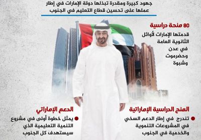 الإمارات تضيء مستقبل الجنوب (إنفوجراف)