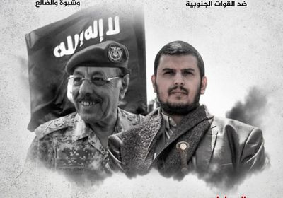 الإرهاب المسعور ضد الجنوب (إنفوجراف)