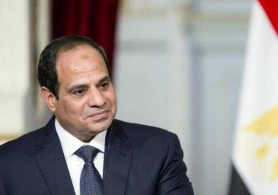 السيسي: لولا دعم الإمارات والسعودية لواجهت مصر أزمة ضخمة