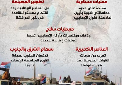 الحرب على الإرهاب.. القوات الجنوبية تحمي مواطنيها (إنفوجراف)