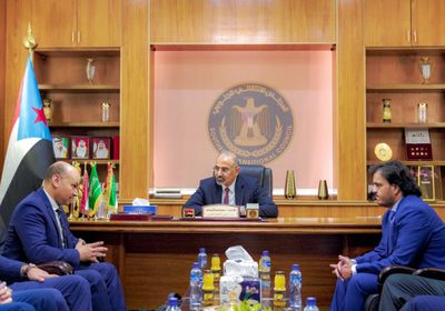 الرئيس الزُبيدي يستقبل وفدا مصريا لتطوير قطاع الكهرباء