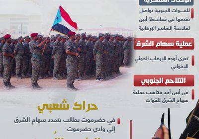 القوات الجنوبية تدك بؤر الإرهاب (إنفوجراف)