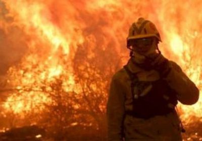 اندلاع حرائق هائلة في جزر الساحل الأرجنتيني