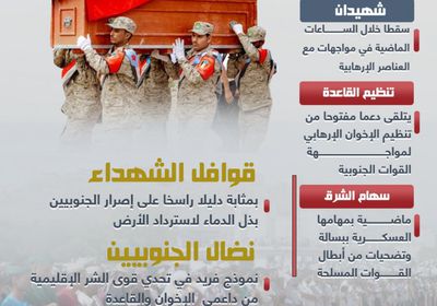 شهداء الجنوب.. دماء من أجل مستقبل وطن (إنفوجراف)