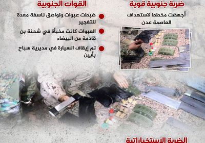 الجنوب يجهض مخطط ضرب العاصمة عدن (إنفوجراف)