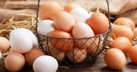 حظر تصدير البيض بداية من أكتوبر المقبل في الكويت