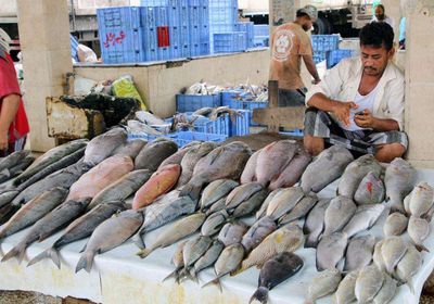 قائمة أسعار الأسماك اليوم الأحد في عدن